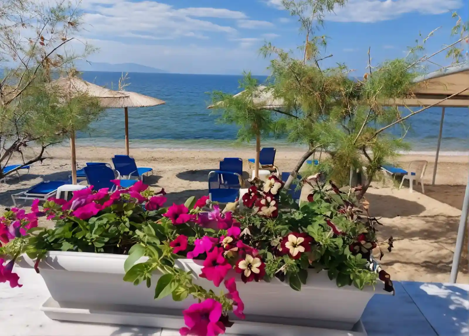 Flower boxes on the terrace at Maria Apartments looking out to sun loungers and the sea